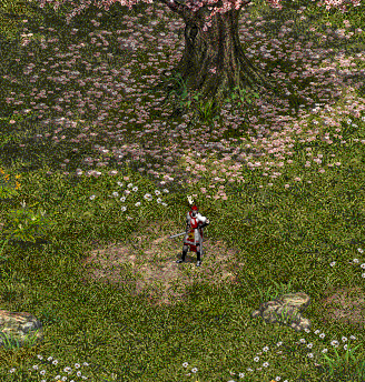 2.gif